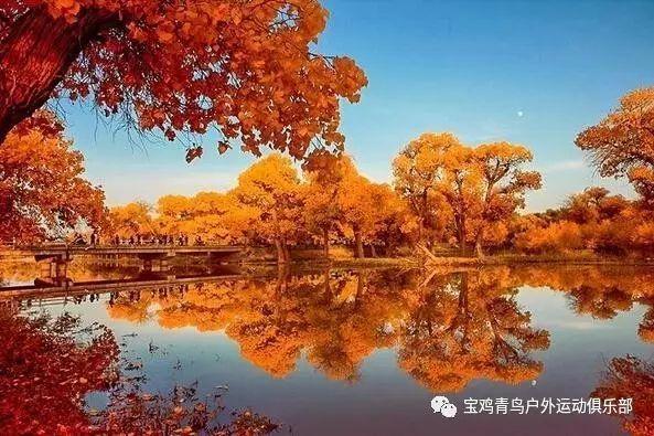 哈哈体育官方入口